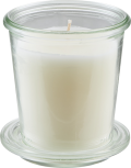 Wax Candle, Hyacinth